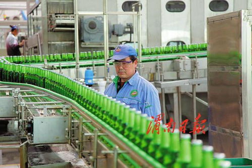 打造農產品加工產業(yè)新地標 渭南經開區(qū)傾力推進農業(yè)產業(yè)高質量發(fā)展