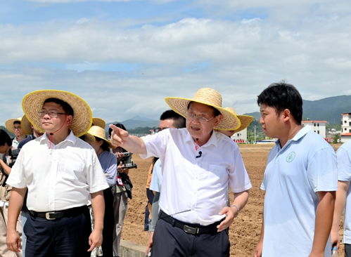 無人 種地就是一種新質生產力 無人農場服務鄉(xiāng)村振興 現(xiàn)場會召開
